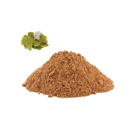 Epimedium Extract - MEETSUPPLEMENT
