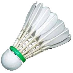 badminton png transparent page - Clip Art Library