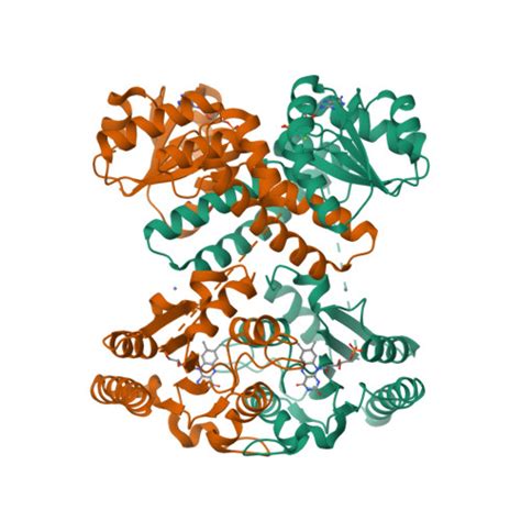 RCSB PDB 3EYW Crystal Structure Of The C Terminal Domain Of E Coli