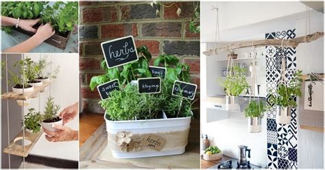 Great Kitchen Herb Garden Ideas