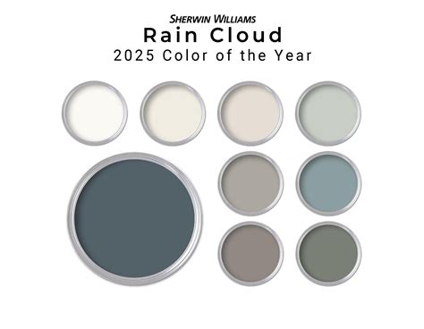 Sherwin williams 2025 color of the year rain cloud paint palette whole