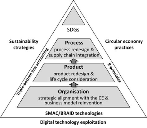 Conceptual Framework For The Transition To A Sustainable And Circular