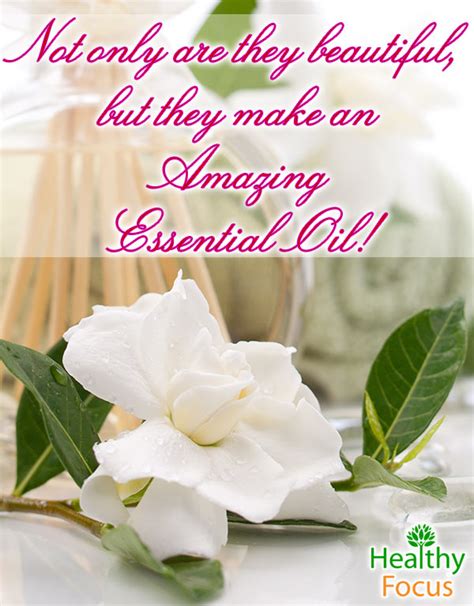 8 Benefits of Gardenia Essential Oil - Healthy Focus