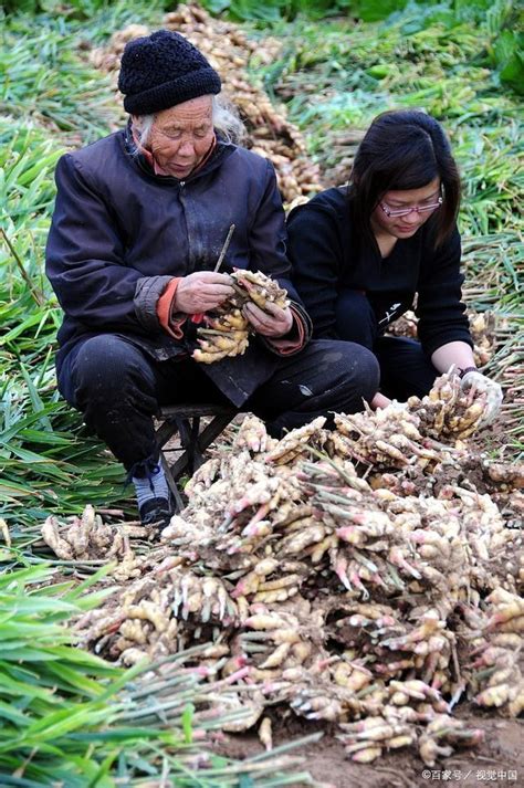 有人提議改名農民工，農民：沒必要！換個叫法就不是農民了？ 每日頭條