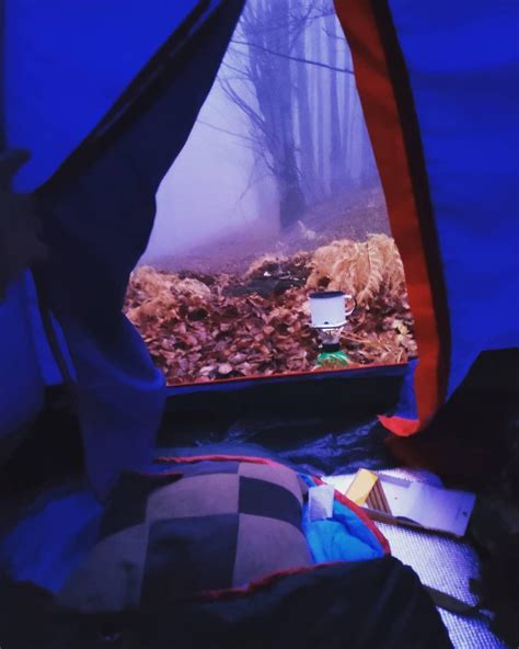 Camping in forest : r/Outdoors