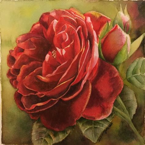 Rose Paintings And Flower Paintings In Watercolor And Oil