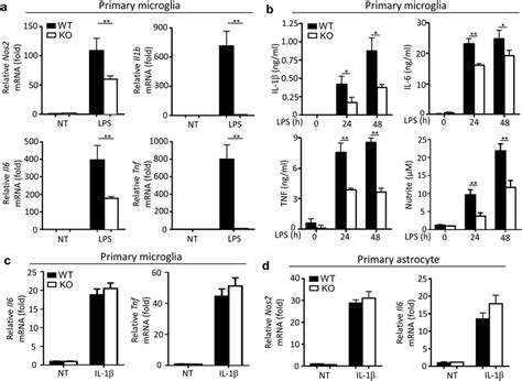 Peli1 Mediates LPS Induce Inflammatory Responses In Microglia A QPCR