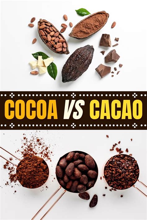 Cocoa Vs Cacao Whats The Difference Insanely Good