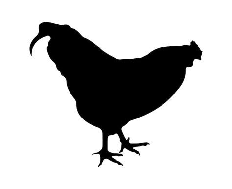 Premium Vector Vector Chicken Silhouette Isolated On White Background