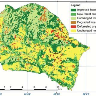 Forest cover change classification scheme | Download Scientific Diagram