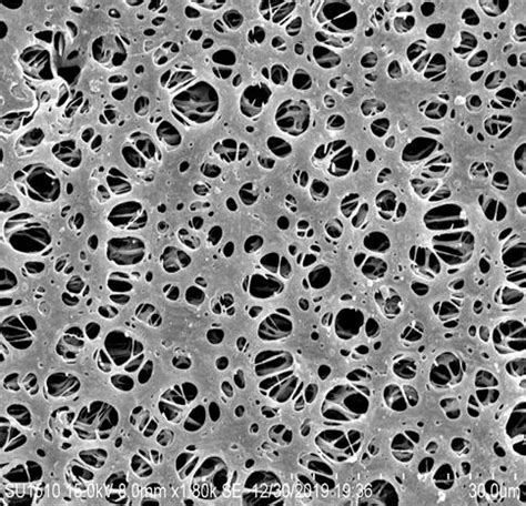 PolyethersulfonePESflat Membrane