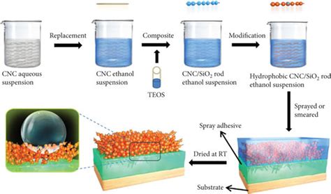 Schematic Of Preparing Cncsio2 Superhydrophobic Coatings 106