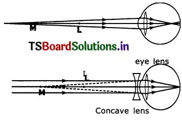 TS 10th Class Physical Science Solutions Chapter 5 Human Eye And