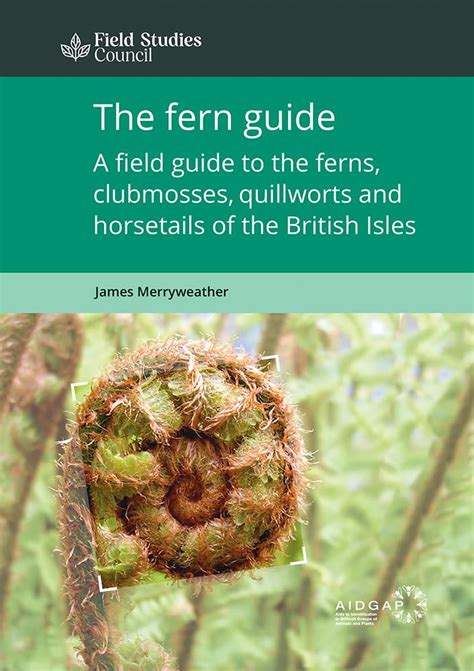 Amazon The Fern Guide A Field Guide To The Ferns Clubmosses