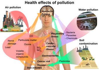 How does acid rain really affect humans.