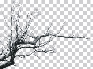 Ilustración de árbol marchito ramas vacías de árbol muerto naturaleza