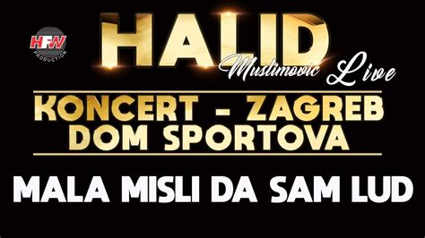 Halid Muslimovi Mala Misli Da Sam Lud Live Koncert Zagreb