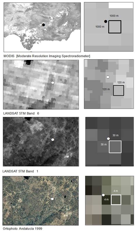 Example Of The Spatial Resolution From Different Sources Used In This