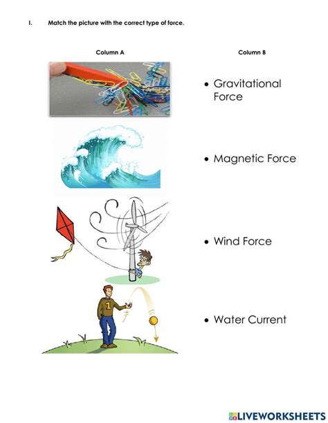 Types Of Forces Interactive Activity Live Worksheets