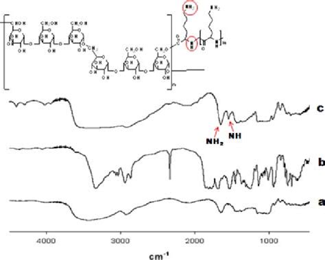 Ftir Spectra Of Pullulan A Poly L Lysine B And Pulpll C