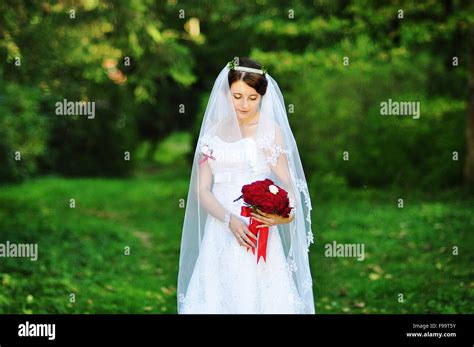 Gentle Brunette Bride At The Wood Stock Photo Alamy