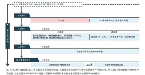 糖尿病发病机制及药物治疗常见疾病的用药安全合理用药常识安全用药科普湖南药事服务网