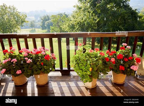 Balcón con plantas y flores casa de campo típica Vasca celebración de