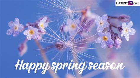 Spring Season 2024 Greetings And Vernal Equinox Messages Quotes