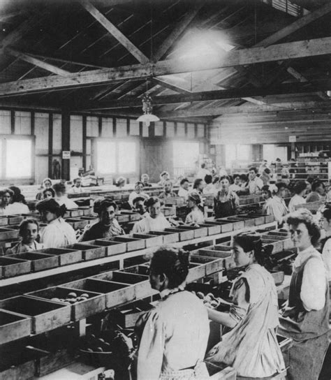 Cannery Row The Afl The Iww And Bay Area Italian Cannery Workers