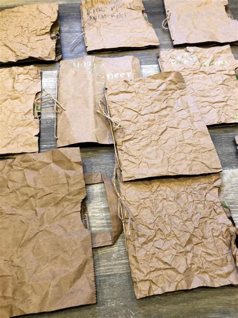 Wagon Wheels | Chronicles of Momia