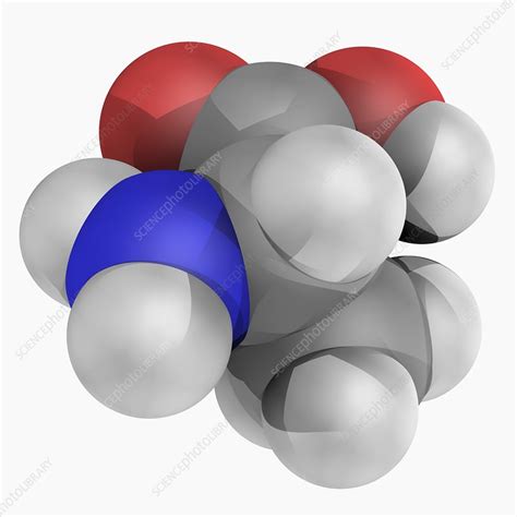 Alanine molecule - Stock Image - F004/6824 - Science Photo Library