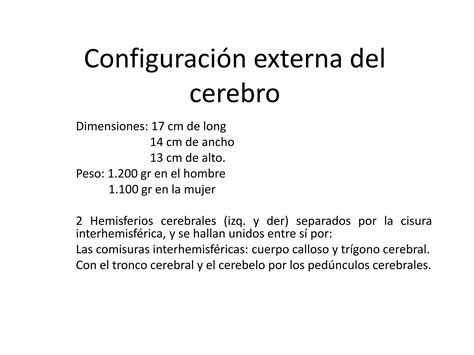 Configuración externa del cerebro PPT