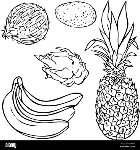 Tropical Fruit Coloring Pages