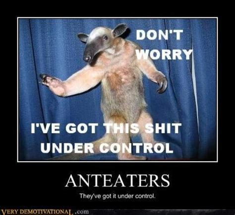 [Image - 49028] | I'm an Anteater!!! | Know Your Meme