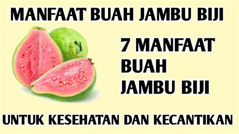 Manfaat Buah Jambu Biji Untuk Kesehatan Dan Kecantikan 7 Manfaat Buah Jambu Biji Youtube