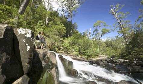 Barrington Tops National Park | NSW National Parks