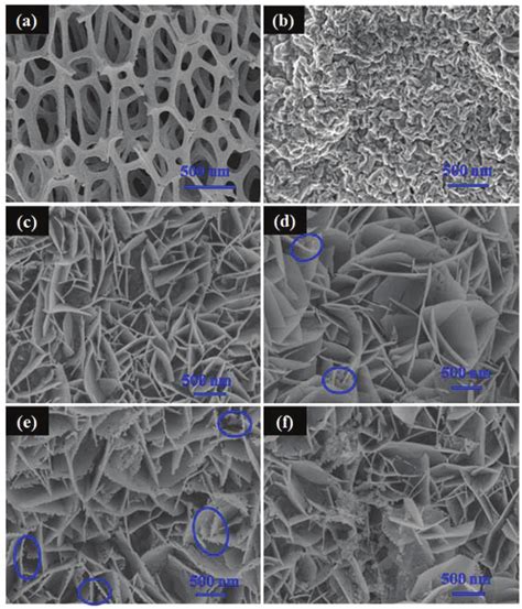 Sem Images Illustrating The Morphologies Of The Samples Ab Ni Foam