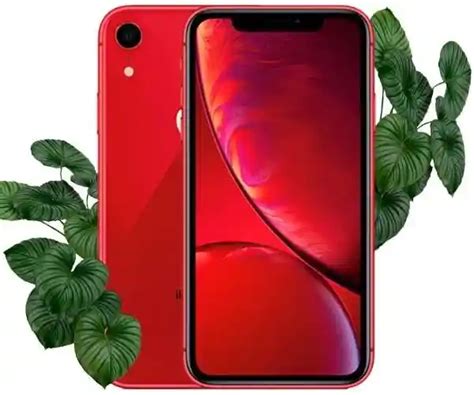Купити айфон хр б/у iPhone XR 256GB (Red) (Як новий, нова батарея) в ...