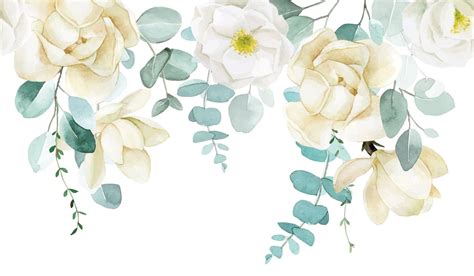 watercolor drawing. seamless border with white magnolia flowers and eucalyptus leaves. 22691427 ...