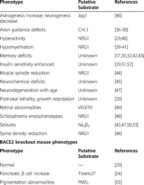 Bace1 Knockout Mouse Phenotypes Download Table