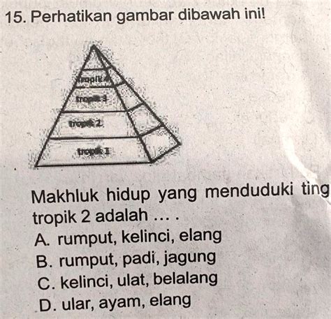 SOLVED: tolong bantuotot merupakan alat gerak aktif yang mempunyai ...