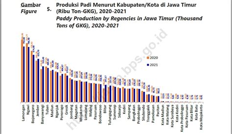 BPS Jatim Sebut Produksi Padi Bojonegoro Menurun Pemkab Sebut Naik