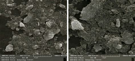 Scanning electron microscopy image of sample 5 | Download Scientific ... 