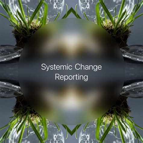Systemic Change Reporting → Term