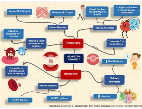 MAPA MENTAL HEMOGLOBINA HEMATOCRITO Doctorada11 UDocz