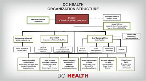 Health Care Organizational Structure Chart