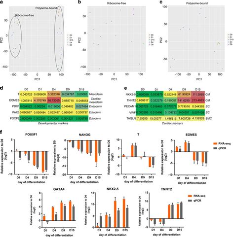 Data Quality Analysis Of Rna Seq And Validation Principal Component