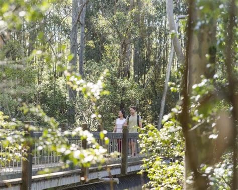 5 Breathtaking Walking Trails around Lake Macquarie | KAYAK