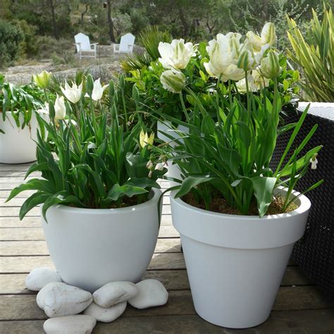 Un D Fil De Fleurs Printani Res Quatre Saisons Au Jardin