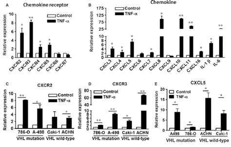 TNF A Increased The Expressions Of CXC Chemokines And Receptors In RCC